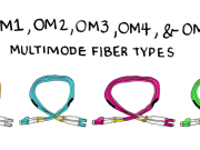 OM3 Fiber: Slefönids